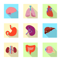 Vector illustration of body and human icon. Collection of body and medical vector icon for stock.