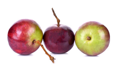 Cainito on white background