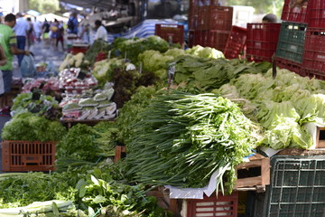 vegetables exhibited in fair-free in the city of Rio de Janeiro on a Sunday morning