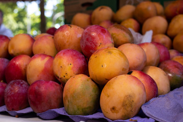 Mango on a open market
