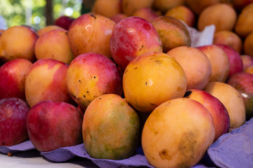 Mango on a open market