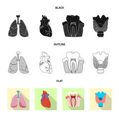 Fototapeta premium Isolated object of body and human logo. Set of body and medical stock symbol for web.