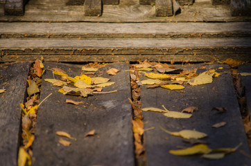 Fallen bright autumn leaves lie on the old wooden roof of the house. Close-up.