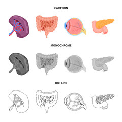 Vector illustration of body and human icon. Collection of body and medical vector icon for stock.