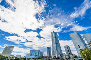Obraz premium 横浜みなとみらいの風景