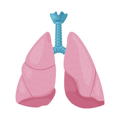 Vector illustration of body and human icon. Collection of body and medical stock vector illustration.