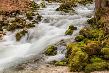 Fototapeta na wymiar beautiful small river and rocks full of moss