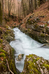 cascade on autumn day in the forest