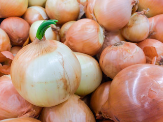 Fresh onions background, Vegetables for healthy.