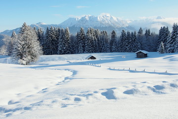 Fototapeta na wymiar winter wonderland with snowy trees in the Alps of Austria