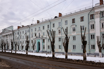 Nature in the city. Tree topping . Row of pruned trees. Dzerzhinsk, Russia.