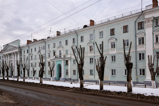 Nature in the city. Tree topping . Row of pruned trees. Dzerzhinsk, Russia.