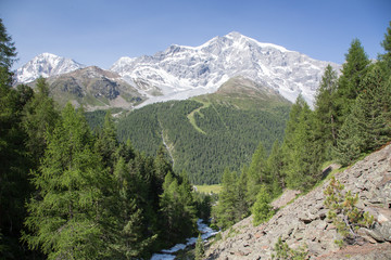 Fototapeta na wymiar Ortler mountain panorama