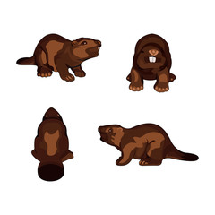 Set of beavers. Vector illustration on white background