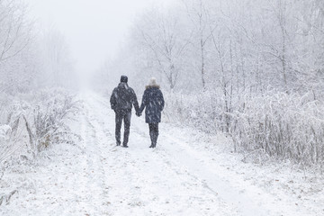 Young adult couple holding each other hands and walking in blizzard. Peaceful atmosphere in amazing awesome winter day. Enjoying fresh air in snowy forest trail. Back view.
