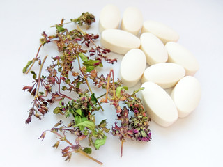 Herbal medicine pills with dry natural herbs on white background. Concept of herbal medicine and dietary supplements, biologically active additives and vitamins. Close up photography