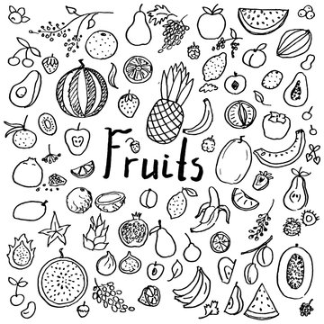 Set of hand drawn doodle fruits. Fresh and tasty food. Collection of design elements