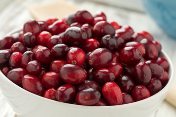  Bowl with fresh ripe cranberries