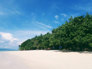Sunny summer tropical paradise beach
