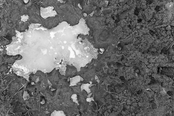 The frozen puddle on the field in winter