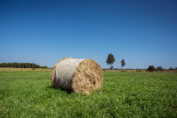 Round hay bale lying on a green meadow