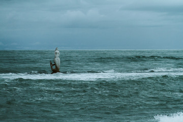 Mermaid (sereia) beach in Maceio, Brazil 