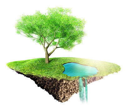 green grass island with tree and water