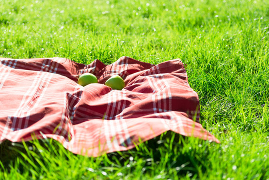 a picnic blanket with apples on grass