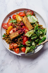 Vegetarian lentil salad with fried cheese, greens and fresh vegeables