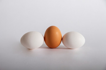 ei kompossiton drei eier