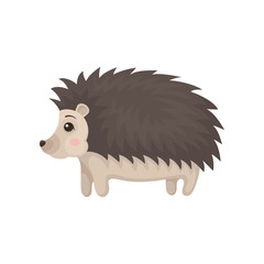 Cute lovely hedgehog prickly animal cartoon character, side view vector Illustration on a white background