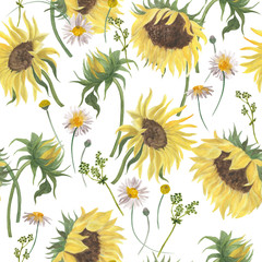 Watercolor painting summer pattern with sunflowers and camomile flowers  on a white background
