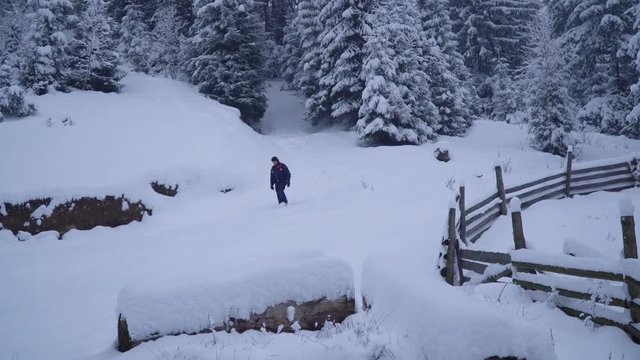 A young man walks alone through a snowy forest. Young pretty tourist sneaks through the snow drifts. He looks around him. He is lost and anxious. Snowfall. Evening forest.