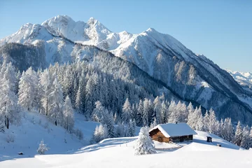 Fototapeten Beautiful winter landscape with snowy forest and traditional alpine chalet. Sunny frosty weather with clear blue sky © Olha Sydorenko