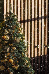 Obraz premium green Christmas tree decorated with Golden yellow cones ornaments near the brown wall