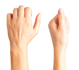 Obraz premium Set of woman clenched fist. Concept of unity, fight or cooperation
