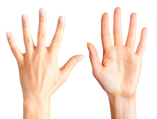 Set of woman hands showing five fingers and palm