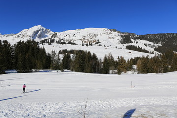 fotografias de paisajes varios nieve arboles montañas 