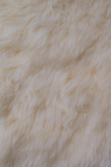 simple, soft, natural lambskin, fur, lambswool background
