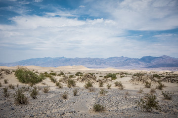 Mesquite Sand Dunes of Death Valley National Park in California in summer