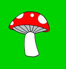 Illustration of a red mushroom