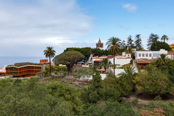 ICOD de los Vinos skyline, Tenerife, featuring famous Aincient Dragon Tree