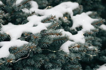 Świąteczne lampki na drzewie pokryte śniegiem - obrazy, fototapety, plakaty
