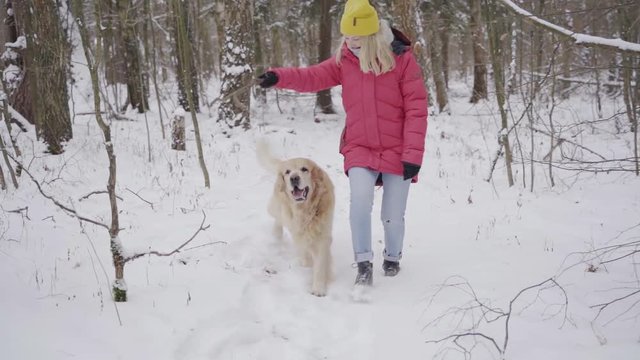 Girl playing with golden retriver dog in snowy forest