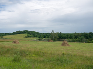 summer rural landscape. haymaking by the lake
