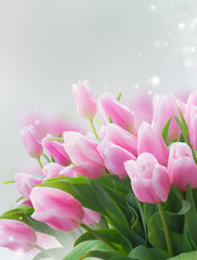 Fototapeta premium bouquet of yellow, purple and red tulips