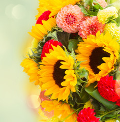 Dahlia and sunflowers
