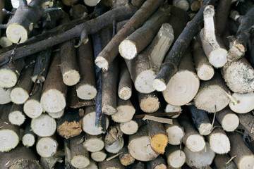 chopped firewood folded. for background. wood texture. alternative type of fuel.