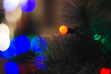 Christmas tree in the lights