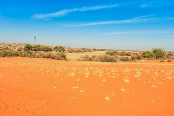 Kalahari desert Landscape with some bushes and a windmill, Namibia, Africa